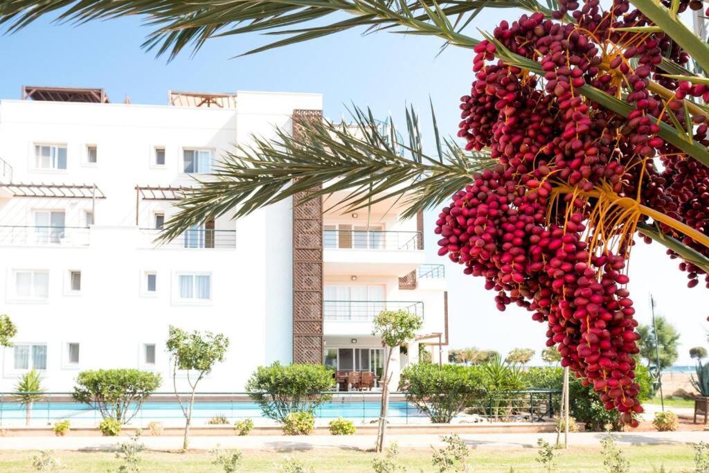 Private Beach Resort Cyprus Vokolidha Dış mekan fotoğraf